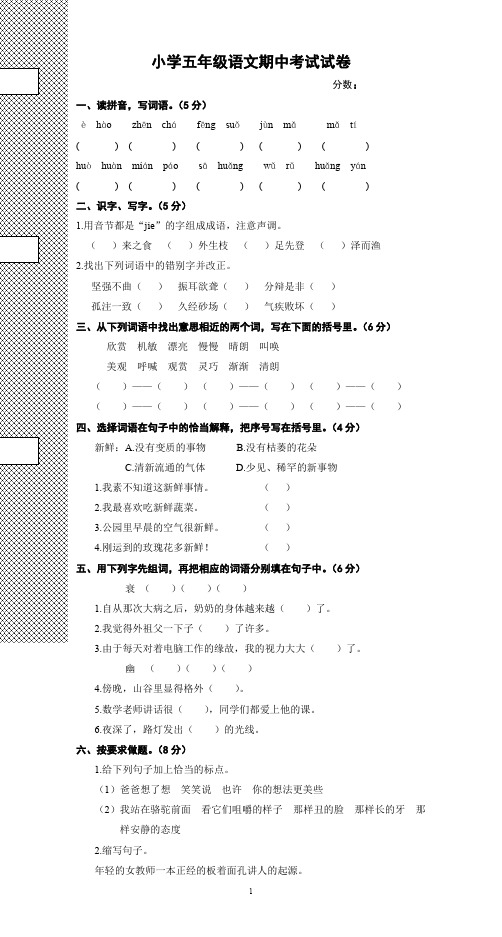 人教版-五年级语文下册期中考试考点试题 (1)