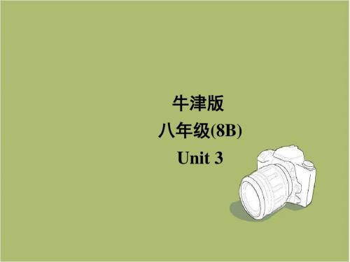 牛津译林版八年级下Unit3 Online travel task教学课件