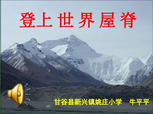 8.登上世界屋脊