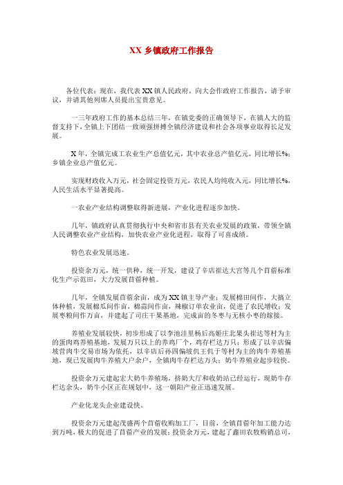 XX乡镇政府工作报告_0