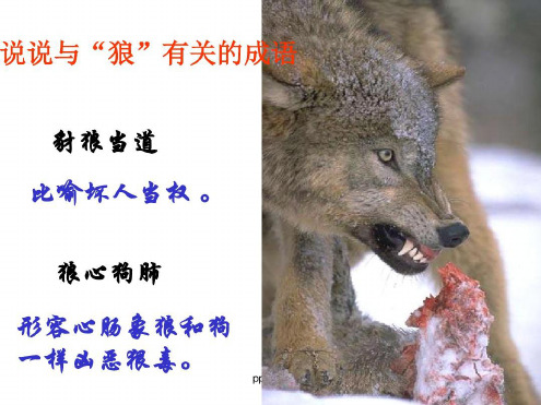 人教版七年级语文上册《狼》-2022年学习资料