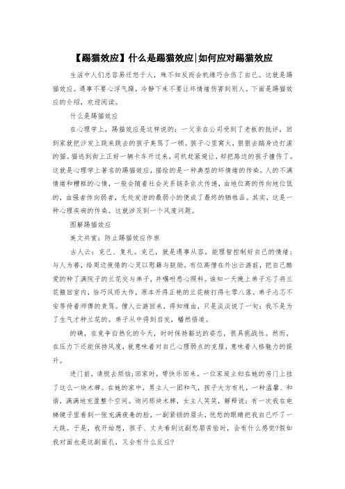 【踢猫效应】什么是踢猫效应-如何应对踢猫效应