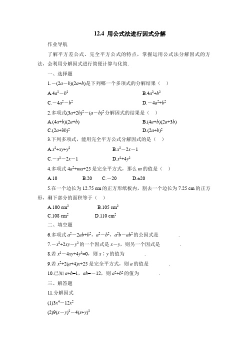 《用公式法进行因式分解》基础练习2
