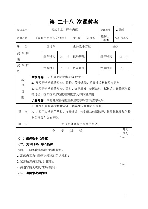 第二十八次课教案  肝炎病毒