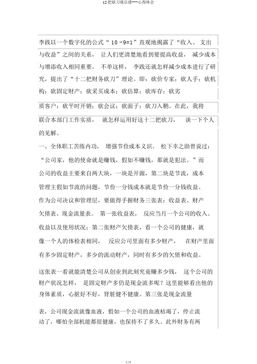 12把砍刀观后感---心得体会