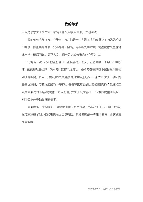 小学六年级写人作文：我的弟弟