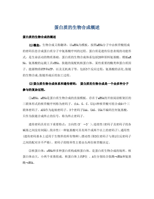 蛋白质的生物合成概述