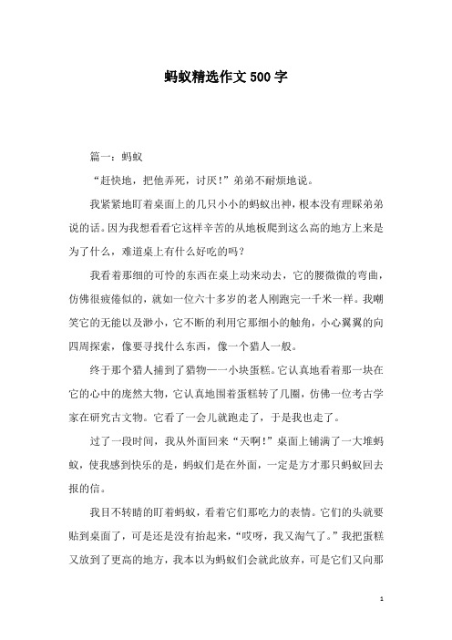 蚂蚁精选作文500字_2