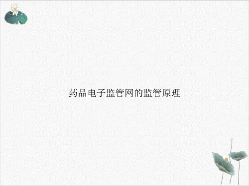 药品电子监管网的监管原理PPT.