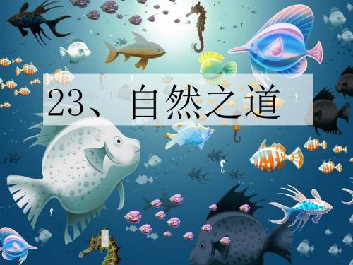 《自然之道》PPT课件2