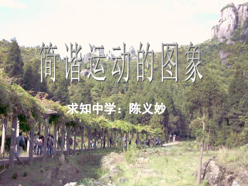 高一物理简谐运动的图象(2019年新版)