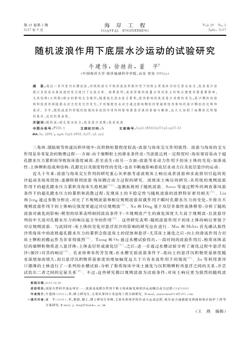 随机波浪作用下底层水沙运动的试验研究