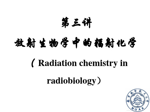 放射生物学中的辐射化学