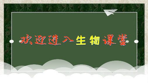 八年级上册生物课件：第三节  软体动物和节肢动物