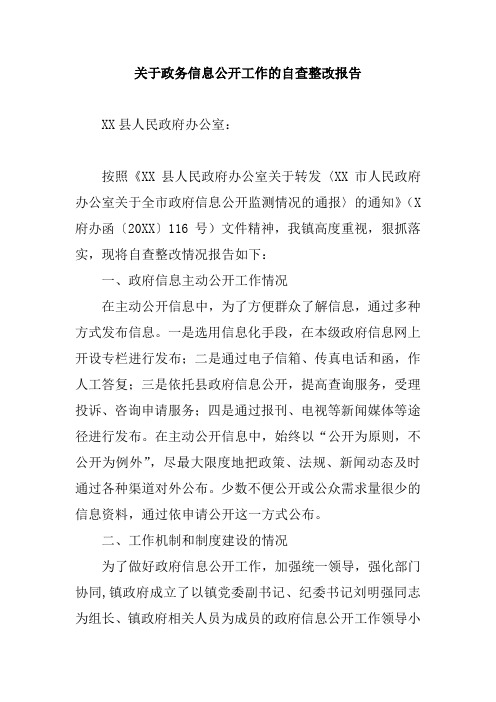 关于政务信息公开工作的自查整改报告