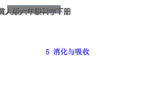 六年级科学下册课件-5消化与吸收-冀人版(共13张PPT)