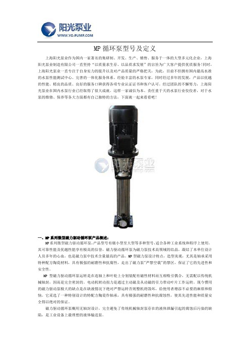 MP循环泵型号及定义