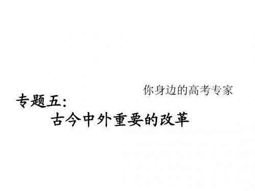 09届高考历史二轮专题复习课件9