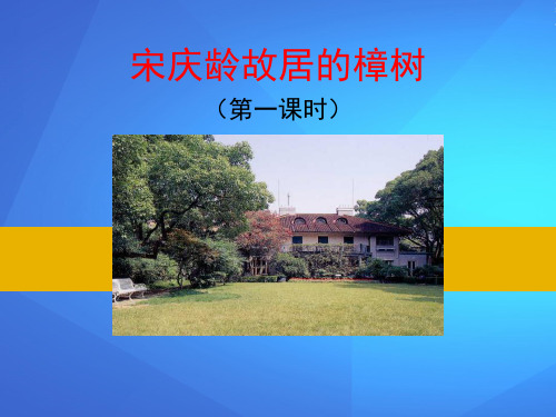 《宋庆龄故居的樟树》PPT【优课件推荐】