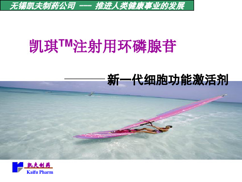 环磷腺苷产品知识
