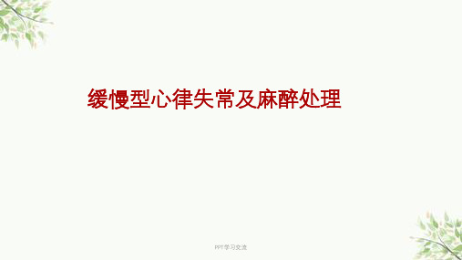 缓慢型心律失常ppt课件
