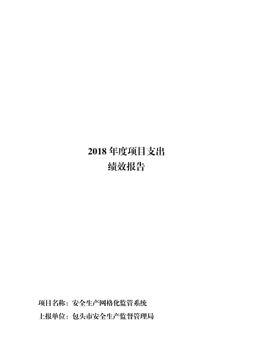 2018年度项目支出