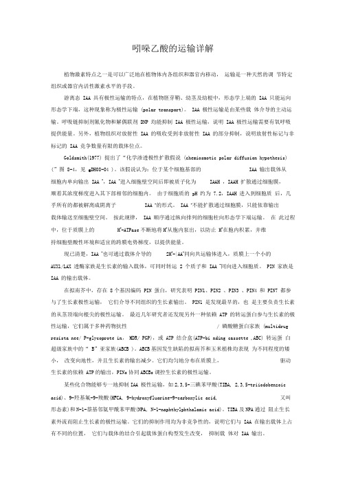 吲哚乙酸的运输详解