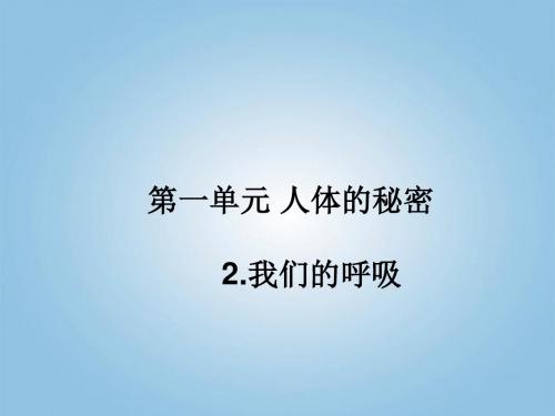 我们的呼吸--五年级科学课件
