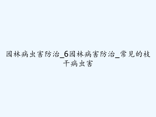 园林病虫害防治_6园林病害防治_常见的枝干病虫害 PPT