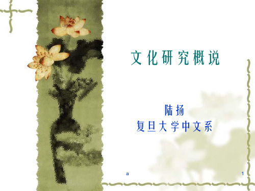 文化研究概说PPT课件