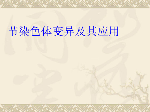 《染色体变异及其应用》PPT课件