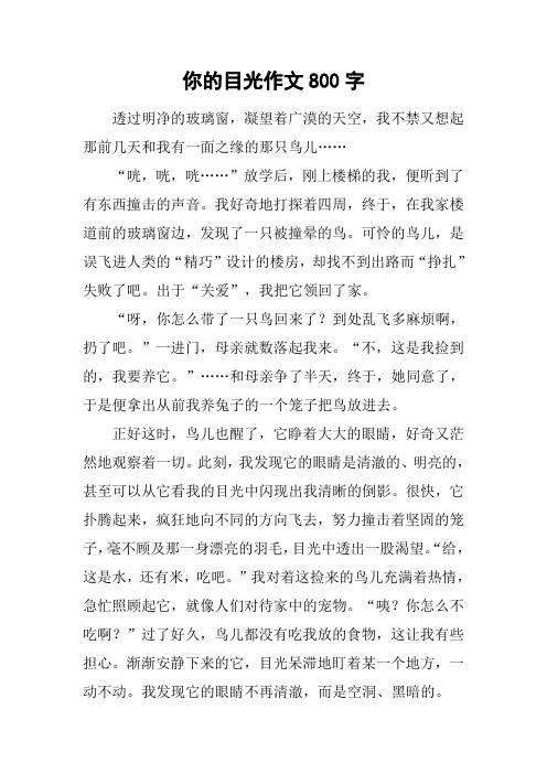 你的目光作文800字