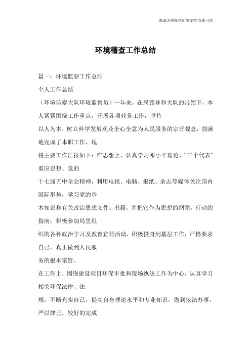 环境稽查工作总结