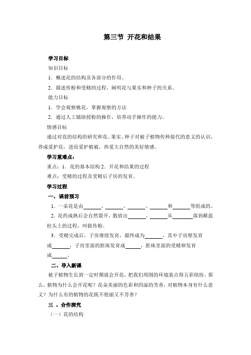 开花和结果教案