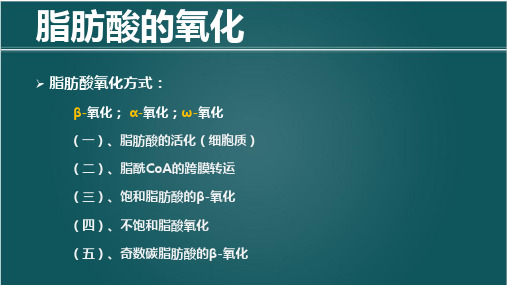 6.2.1 脂肪酸氧化