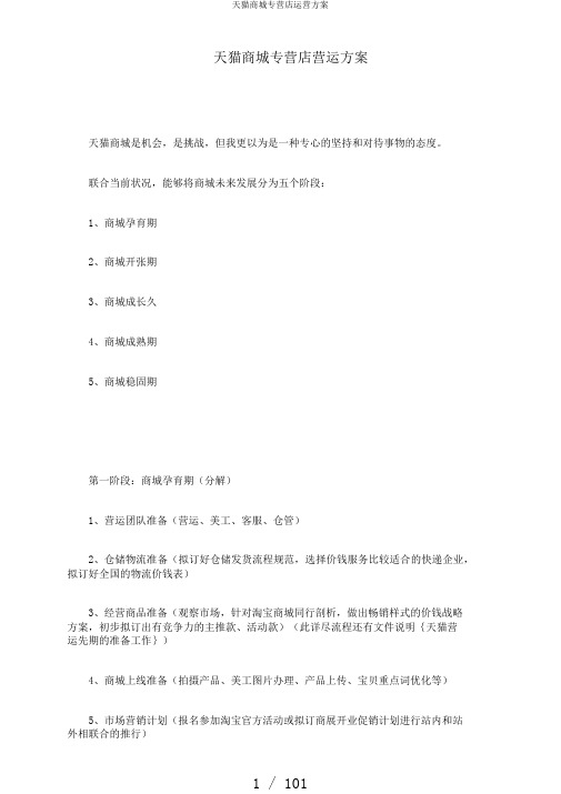 天猫商城专营店运营方案