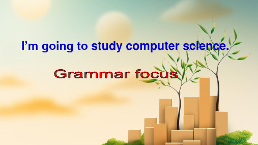 Unit6SectionAGrammarFocus课件人教版英语八年级上册