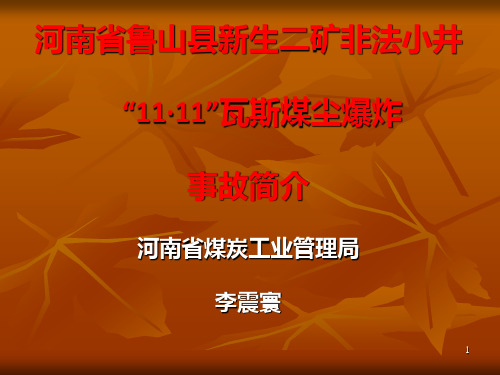 低瓦斯煤矿瓦斯爆炸案例PPT课件