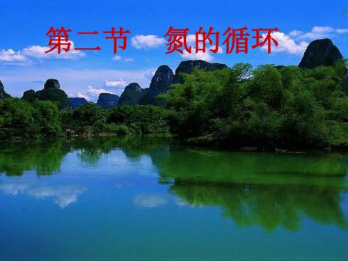 【高中化学】氮的循环PPT课件12