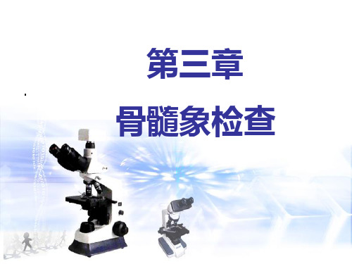 第三章 骨髓象检查