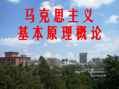 马概