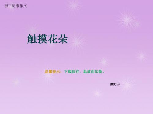 初三记事作文《触摸花朵》800字(总11页PPT)