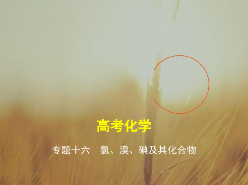 最新-五年高考三年模拟2021届高三化学新课标一轮复习课件：专题十六 氯、溴、碘及其化合物 精品