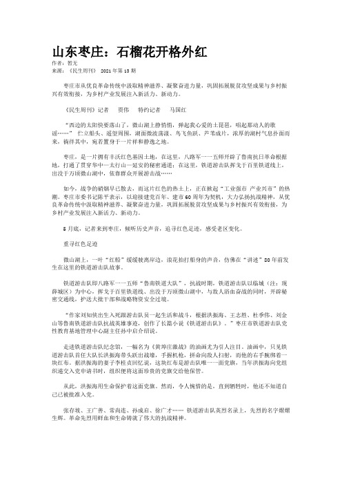 山东枣庄：石榴花开格外红