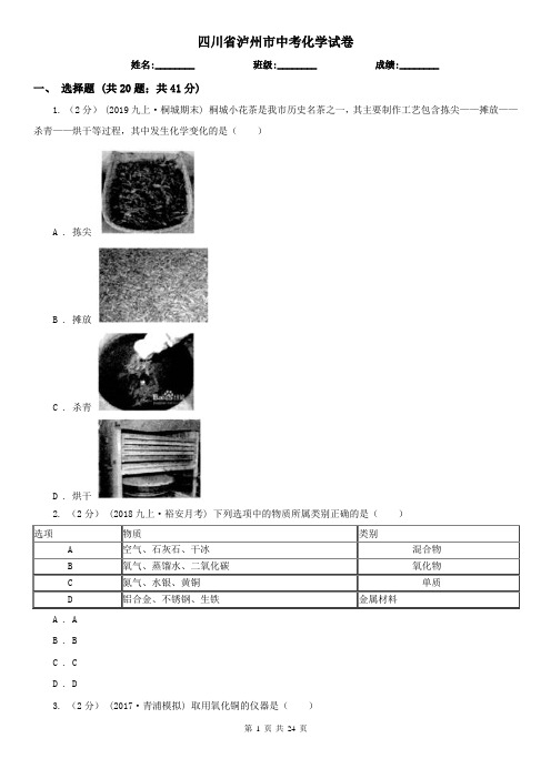 四川省泸州市中考化学试卷