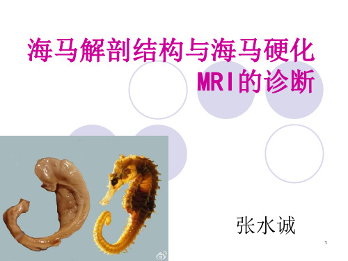 海马解剖结构与MRI的诊断应用幻灯片