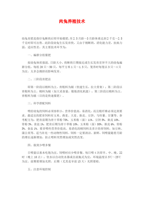 肉兔养殖技术和注意事项