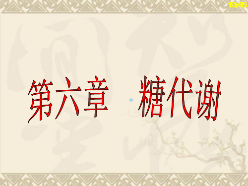 生物化学第6章糖代谢