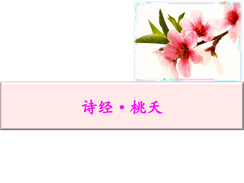 诗经-桃夭-上课讲义