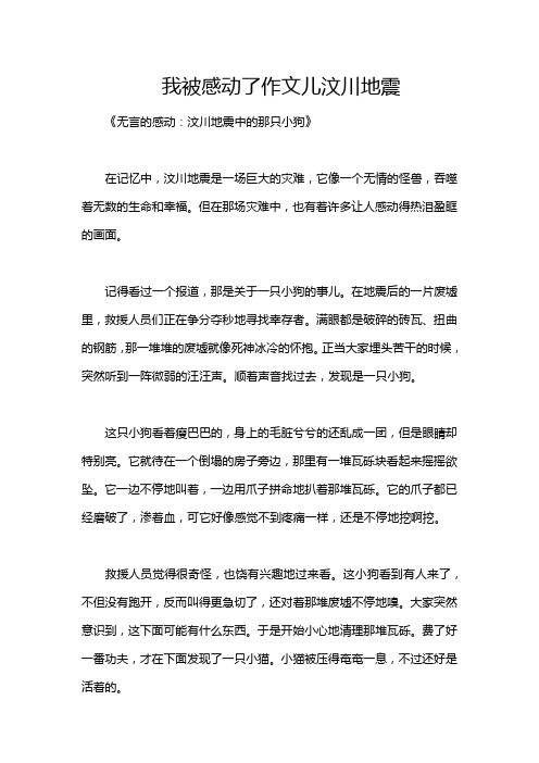 我被感动了作文儿汶川地震